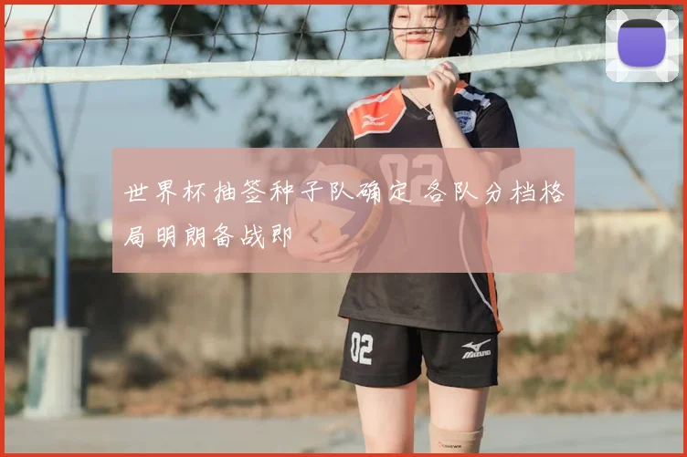 世界杯抽签种子队确定 各队分档格局明朗备战即