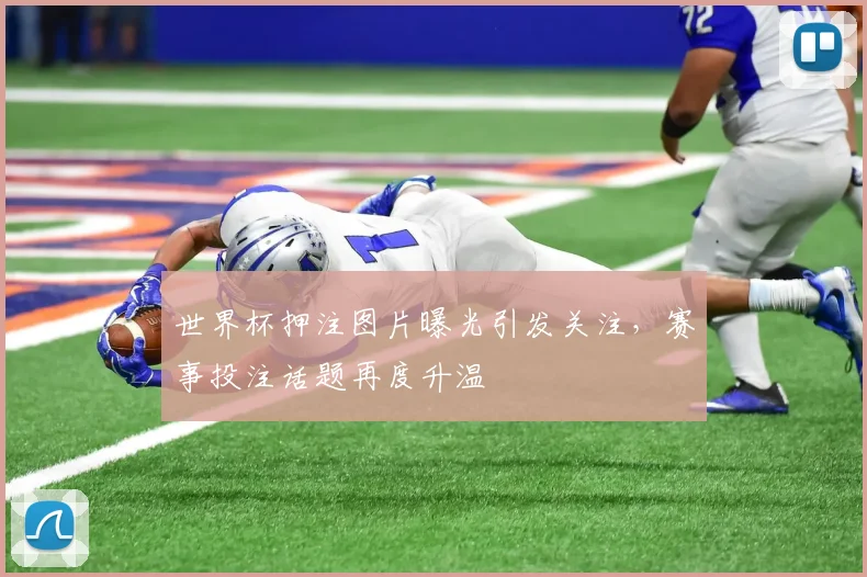 世界杯押注图片曝光引发关注,赛事投注话题再度升温
