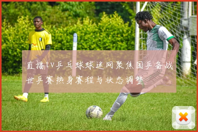 直播tv乒乓球球迷网聚焦国乒备战世乒赛热身赛程与状态调整